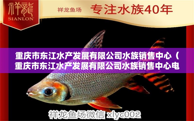 重慶市東江水產(chǎn)發(fā)展有限公司水族銷售中心（重慶市東江水產(chǎn)發(fā)展有限公司水族銷售中心電話） 全國水族館企業(yè)名錄