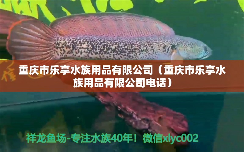 重慶市樂(lè)享水族用品有限公司（重慶市樂(lè)享水族用品有限公司電話(huà)） 水族用品