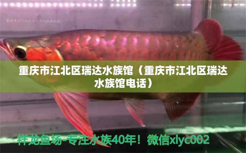 重慶市江北區(qū)瑞達(dá)水族館（重慶市江北區(qū)瑞達(dá)水族館電話(huà)） 全國(guó)水族館企業(yè)名錄