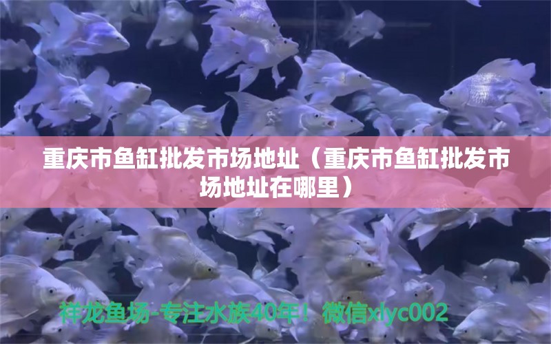 重慶市魚缸批發(fā)市場(chǎng)地址（重慶市魚缸批發(fā)市場(chǎng)地址在哪里）