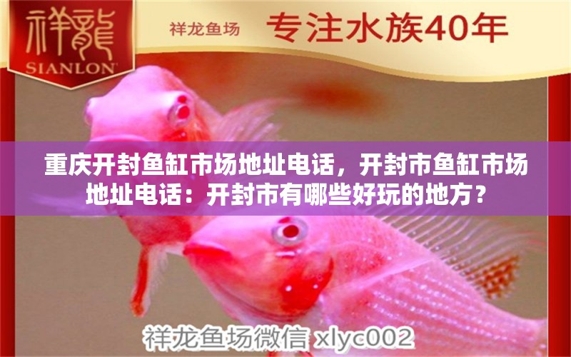 重慶開封魚缸市場地址電話，開封市魚缸市場地址電話：開封市有哪些好玩的地方？ 魚缸百科 第2張