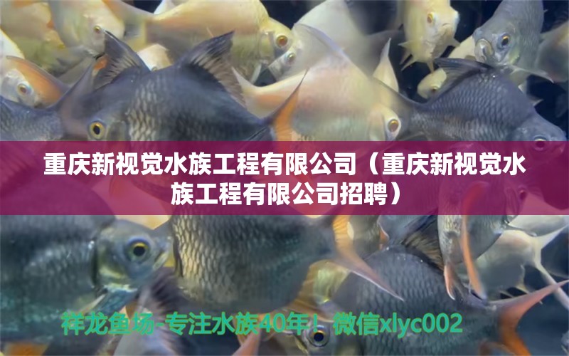 重慶新視覺水族工程有限公司（重慶新視覺水族工程有限公司招聘）