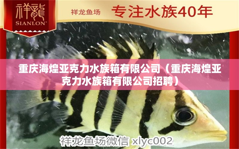 重慶?；蛠喛肆λ逑溆邢薰荆ㄖ貞c海煌亞克力水族箱有限公司招聘）