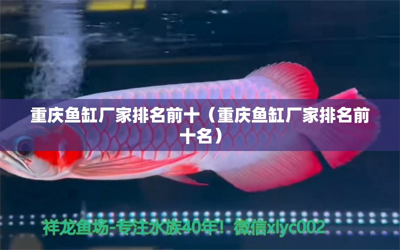 重慶魚缸廠家排名前十（重慶魚缸廠家排名前十名） 其他品牌魚缸