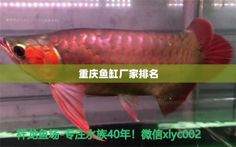 重慶魚缸廠家排名