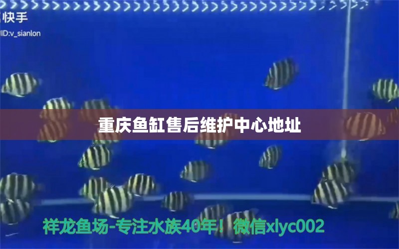 重慶魚缸售后維護(hù)中心地址 其他品牌魚缸