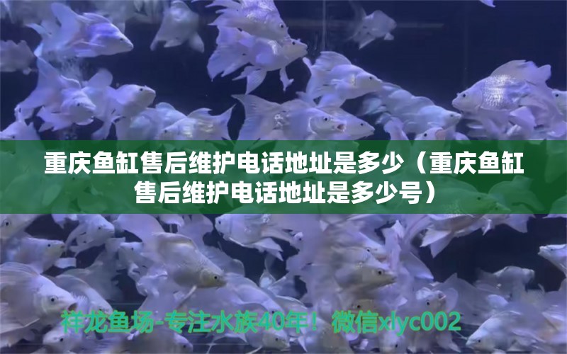 重慶魚缸售后維護電話地址是多少（重慶魚缸售后維護電話地址是多少號） 其他品牌魚缸