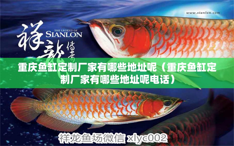 重慶魚缸定制廠家有哪些地址呢（重慶魚缸定制廠家有哪些地址呢電話） 祥龍水族醫(yī)院