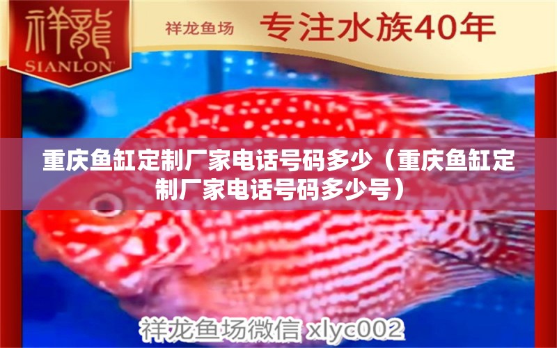 重慶魚缸定制廠家電話號碼多少（重慶魚缸定制廠家電話號碼多少號） 其他品牌魚缸