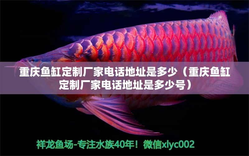 重慶魚(yú)缸定制廠家電話(huà)地址是多少（重慶魚(yú)缸定制廠家電話(huà)地址是多少號(hào)） 其他品牌魚(yú)缸