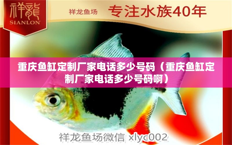 重慶魚缸定制廠家電話多少號碼（重慶魚缸定制廠家電話多少號碼?。? title=