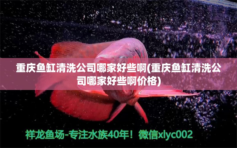 重慶魚(yú)缸清洗公司哪家好些啊(重慶魚(yú)缸清洗公司哪家好些啊價(jià)格) 蝴蝶鯉魚(yú)苗