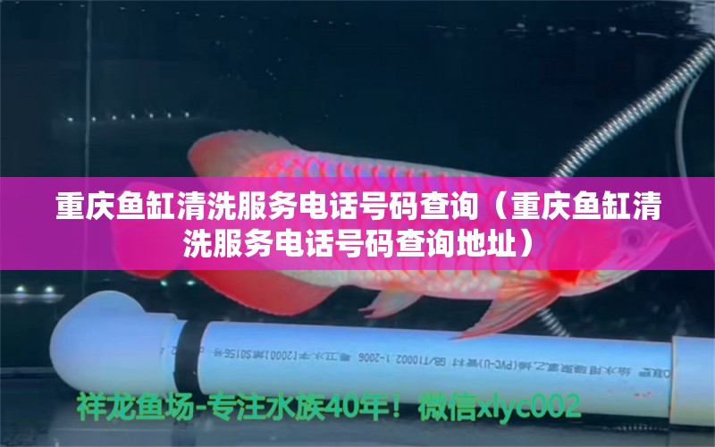 重慶魚缸清洗服務電話號碼查詢（重慶魚缸清洗服務電話號碼查詢地址）