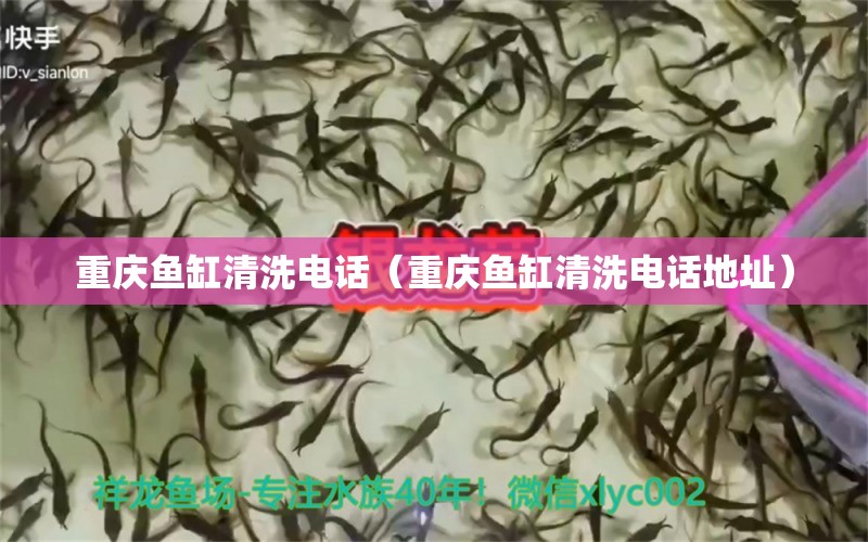 重慶魚(yú)缸清洗電話（重慶魚(yú)缸清洗電話地址）