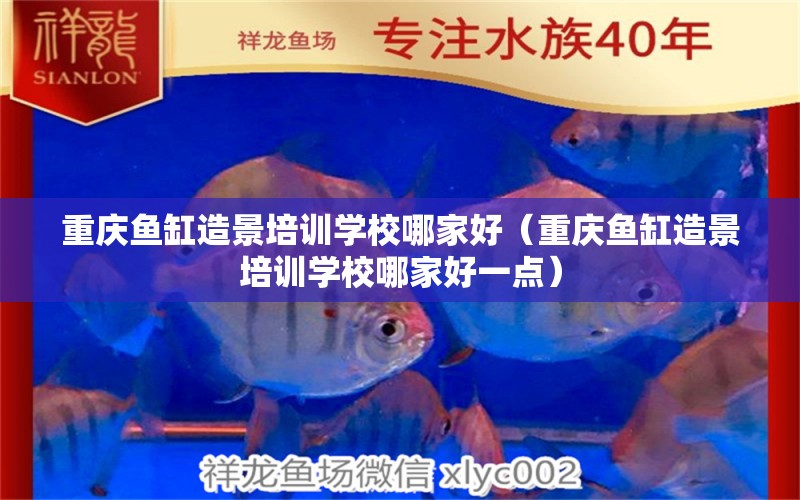 重慶魚缸造景培訓學校哪家好（重慶魚缸造景培訓學校哪家好一點）