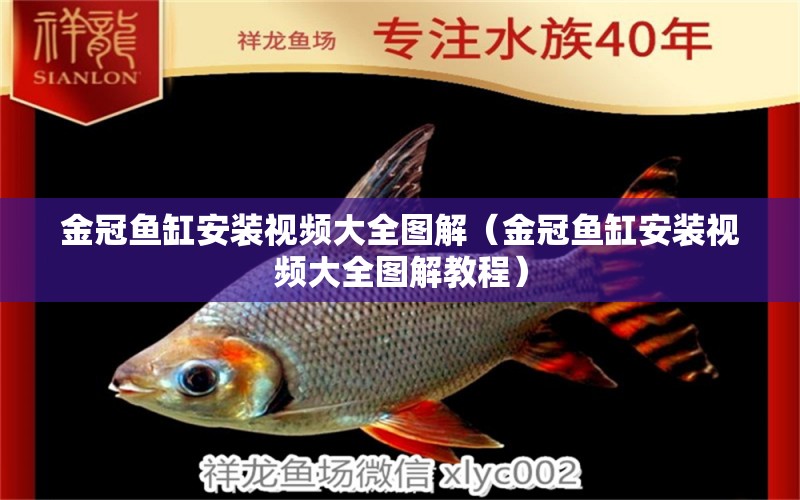 金冠魚缸安裝視頻大全圖解（金冠魚缸安裝視頻大全圖解教程） 祥龍水族醫(yī)院