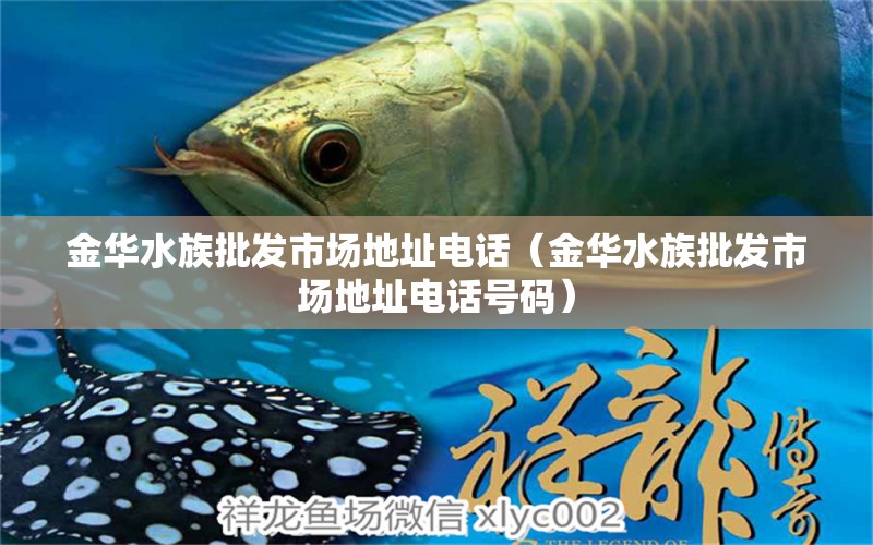 金華水族批發(fā)市場(chǎng)地址電話（金華水族批發(fā)市場(chǎng)地址電話號(hào)碼） 觀賞魚(yú)水族批發(fā)市場(chǎng)