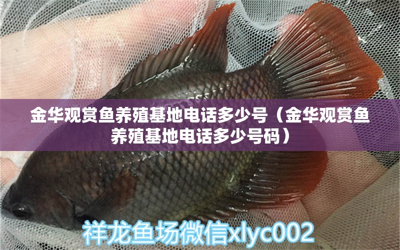 金華觀賞魚養(yǎng)殖基地電話多少號（金華觀賞魚養(yǎng)殖基地電話多少號碼）