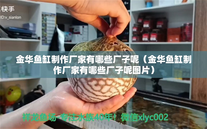 金華魚缸制作廠家有哪些廠子呢（金華魚缸制作廠家有哪些廠子呢圖片）