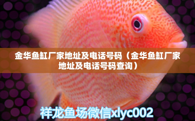 金華魚缸廠家地址及電話號(hào)碼（金華魚缸廠家地址及電話號(hào)碼查詢）