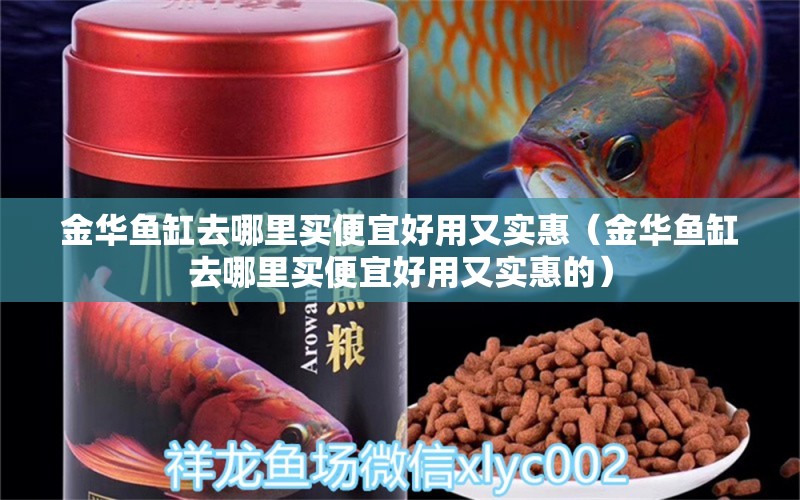 金華魚缸去哪里買便宜好用又實惠（金華魚缸去哪里買便宜好用又實惠的）