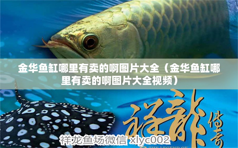 金華魚缸哪里有賣的啊圖片大全（金華魚缸哪里有賣的啊圖片大全視頻）