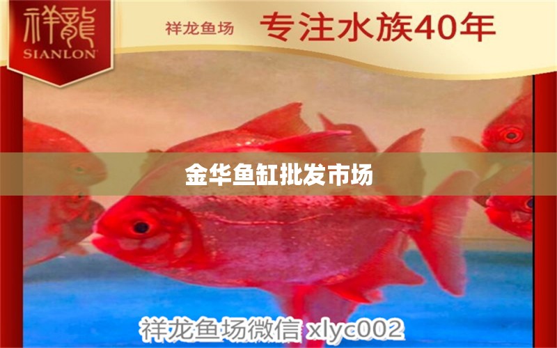 金華魚(yú)缸批發(fā)市場(chǎng) 其他品牌魚(yú)缸