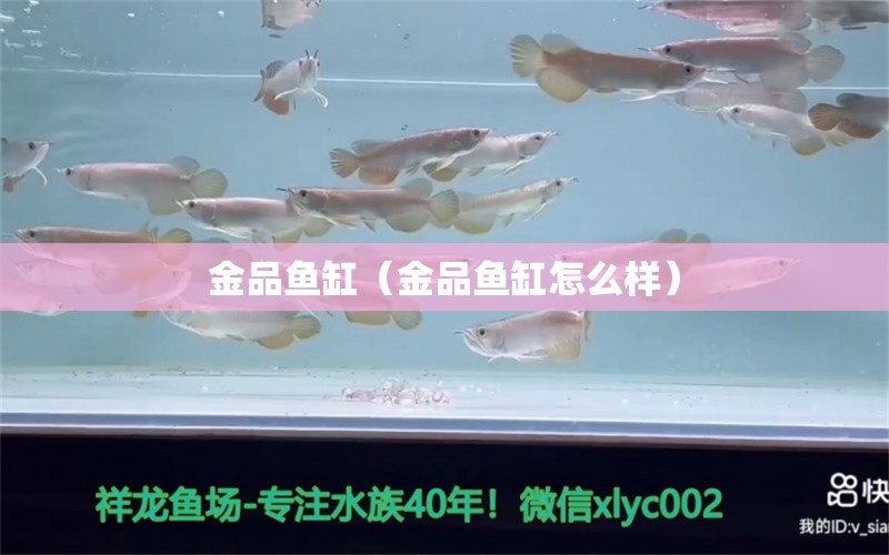 金品魚缸（金品魚缸怎么樣）