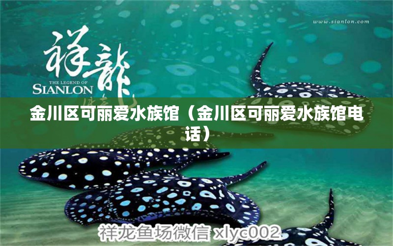 金川區(qū)可麗愛水族館（金川區(qū)可麗愛水族館電話） 全國(guó)水族館企業(yè)名錄