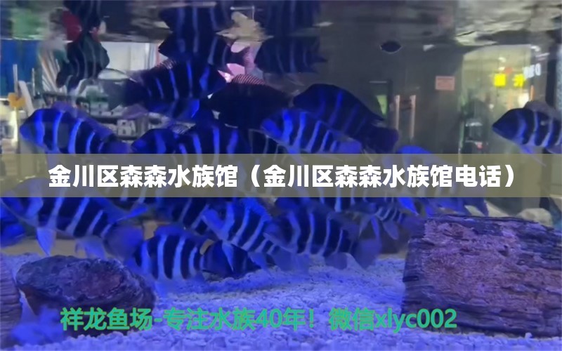 金川區(qū)森森水族館（金川區(qū)森森水族館電話）