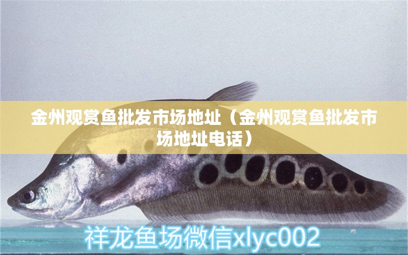 金州觀賞魚批發(fā)市場(chǎng)地址（金州觀賞魚批發(fā)市場(chǎng)地址電話） 觀賞魚批發(fā)