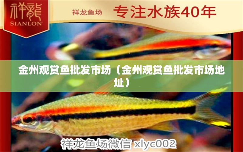 金州觀賞魚批發(fā)市場（金州觀賞魚批發(fā)市場地址）