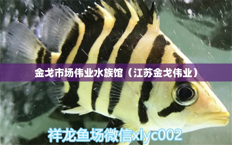 金戈市場(chǎng)偉業(yè)水族館（江蘇金戈偉業(yè)） 全國(guó)水族館企業(yè)名錄