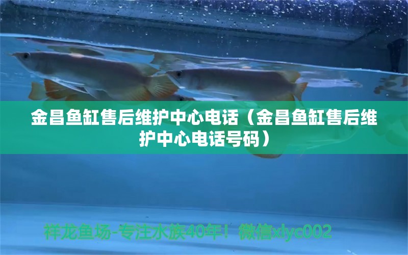 金昌魚缸售后維護(hù)中心電話（金昌魚缸售后維護(hù)中心電話號(hào)碼）