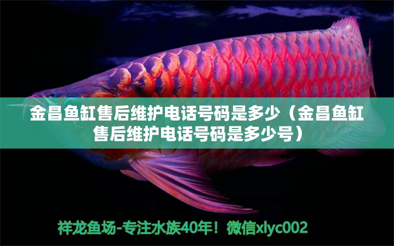 金昌魚缸售后維護(hù)電話號(hào)碼是多少（金昌魚缸售后維護(hù)電話號(hào)碼是多少號(hào)）