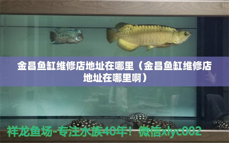 金昌魚缸維修店地址在哪里（金昌魚缸維修店地址在哪里?。? title=