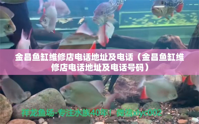 金昌魚缸維修店電話地址及電話（金昌魚缸維修店電話地址及電話號(hào)碼）