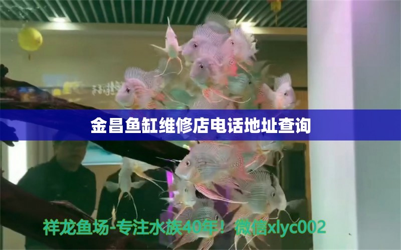 金昌魚(yú)缸維修店電話地址查詢 祥龍魚(yú)場(chǎng)