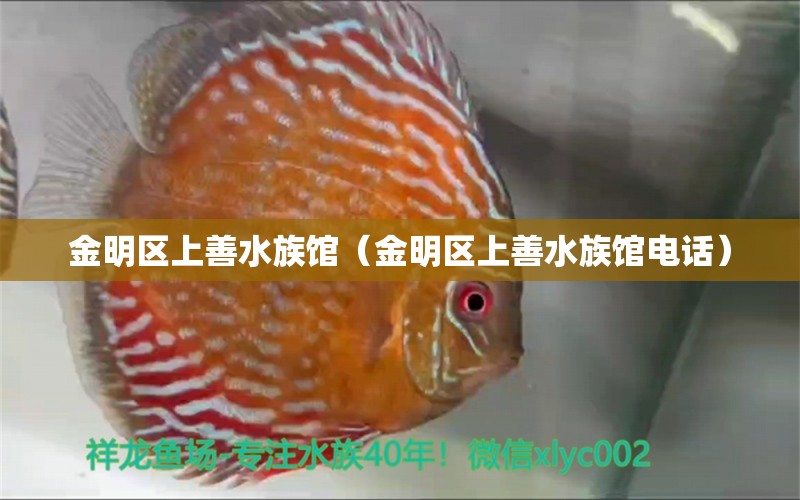 金明區(qū)上善水族館（金明區(qū)上善水族館電話）