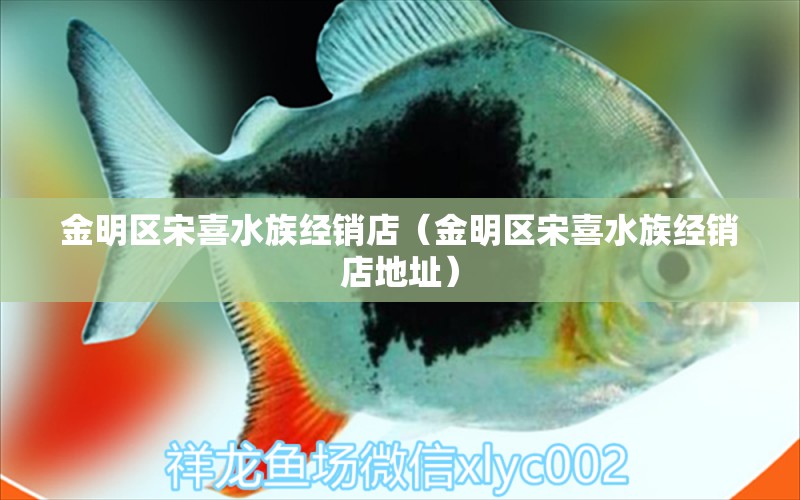 金明區(qū)宋喜水族經(jīng)銷店（金明區(qū)宋喜水族經(jīng)銷店地址） 全國水族館企業(yè)名錄