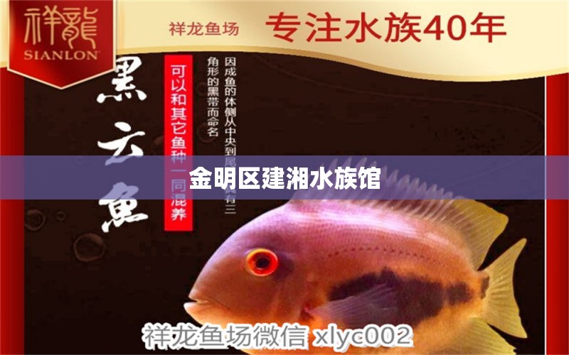 金明區(qū)建湘水族館 全國水族館企業(yè)名錄