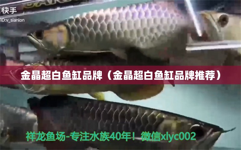 金晶超白魚缸品牌（金晶超白魚缸品牌推薦）