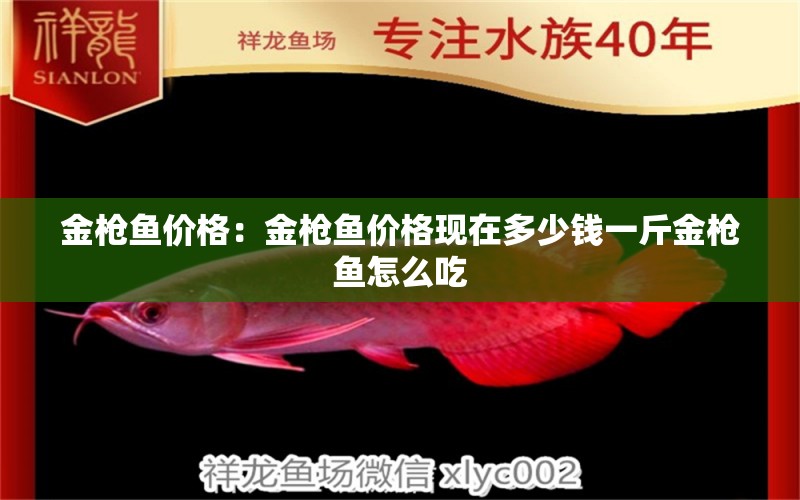 金槍魚價格：金槍魚價格現(xiàn)在多少錢一斤金槍魚怎么吃 水族雜談