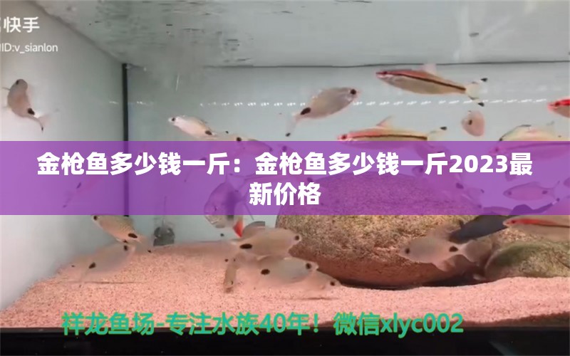 金槍魚多少錢一斤：金槍魚多少錢一斤2023最新價格