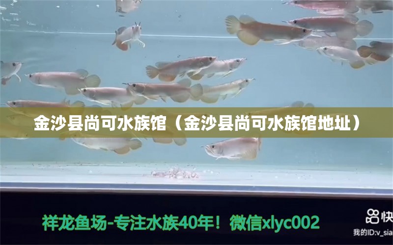 金沙縣尚可水族館（金沙縣尚可水族館地址）