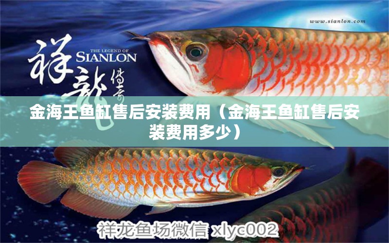 金海王魚缸售后安裝費用（金海王魚缸售后安裝費用多少）