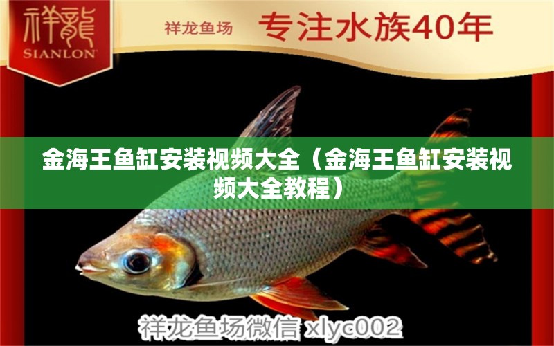 金海王魚缸安裝視頻大全（金海王魚缸安裝視頻大全教程）