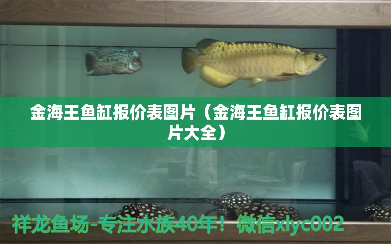 金海王魚缸報價表圖片（金海王魚缸報價表圖片大全）