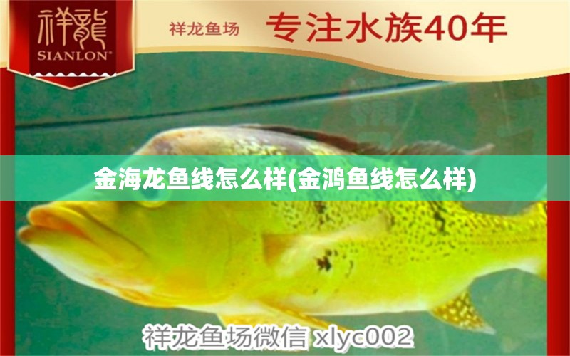 金海龍魚線怎么樣(金鴻魚線怎么樣)