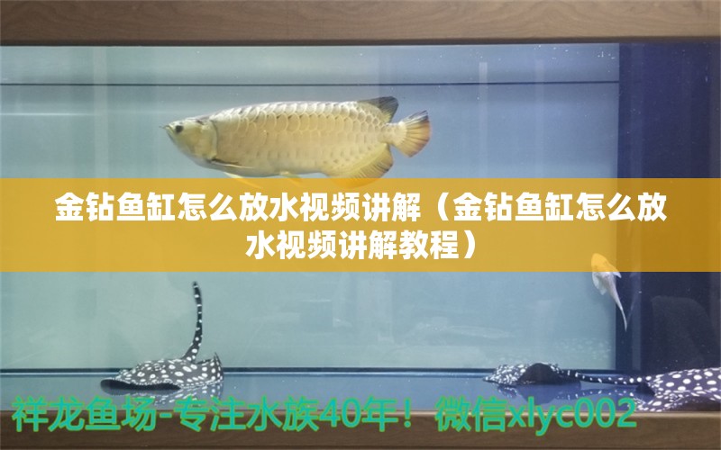 金鉆魚缸怎么放水視頻講解（金鉆魚缸怎么放水視頻講解教程）